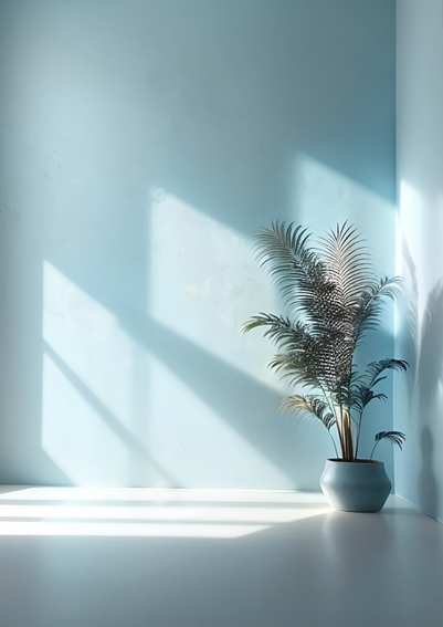 portfolio vacantiehuis